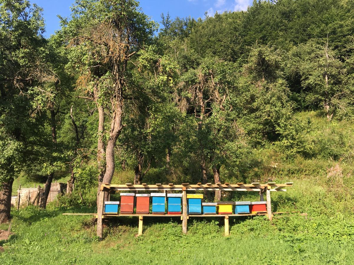 Guest House Ulaj Vuthaj Εξωτερικό φωτογραφία